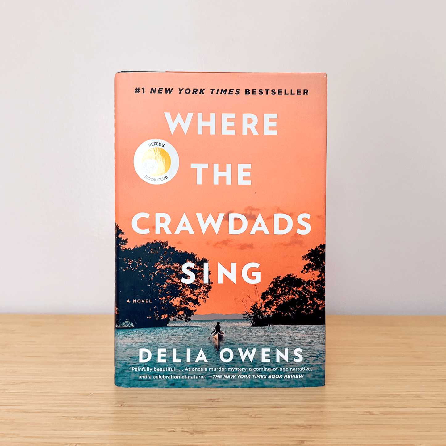 Just One More Chapter